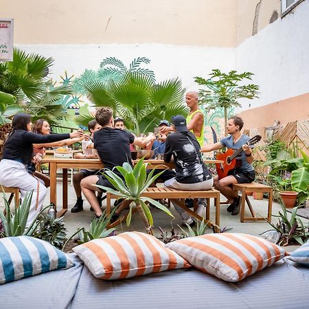بيت شباب Jungle House لاس بالماس دي غران كاناريا المظهر الخارجي الصورة