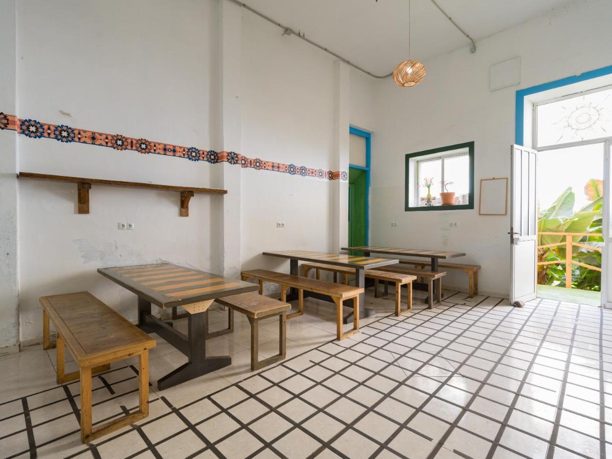 بيت شباب Jungle House لاس بالماس دي غران كاناريا المظهر الخارجي الصورة